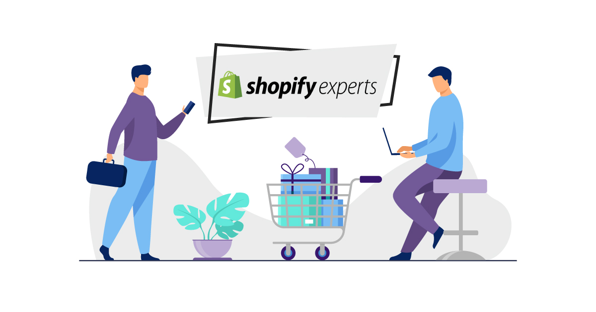 Professional Shopify Plus Consultant for E-Commerce Growth