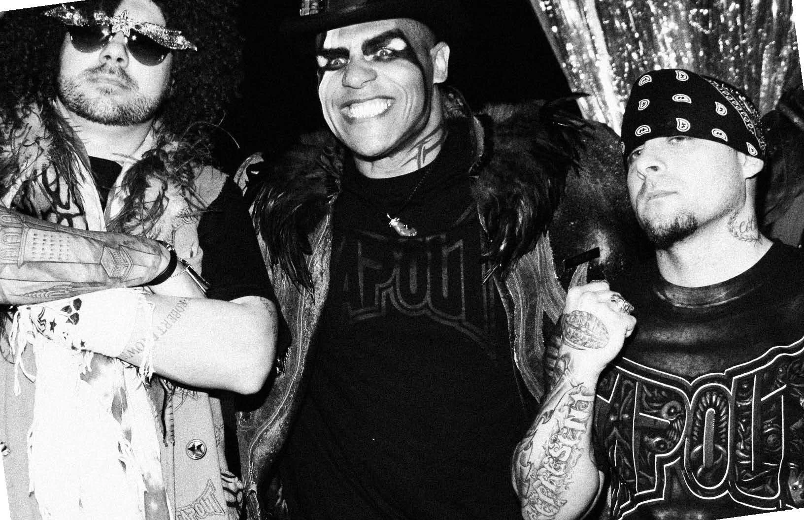 Tapout in USA: Expanding Product Lines and Collaborations USA