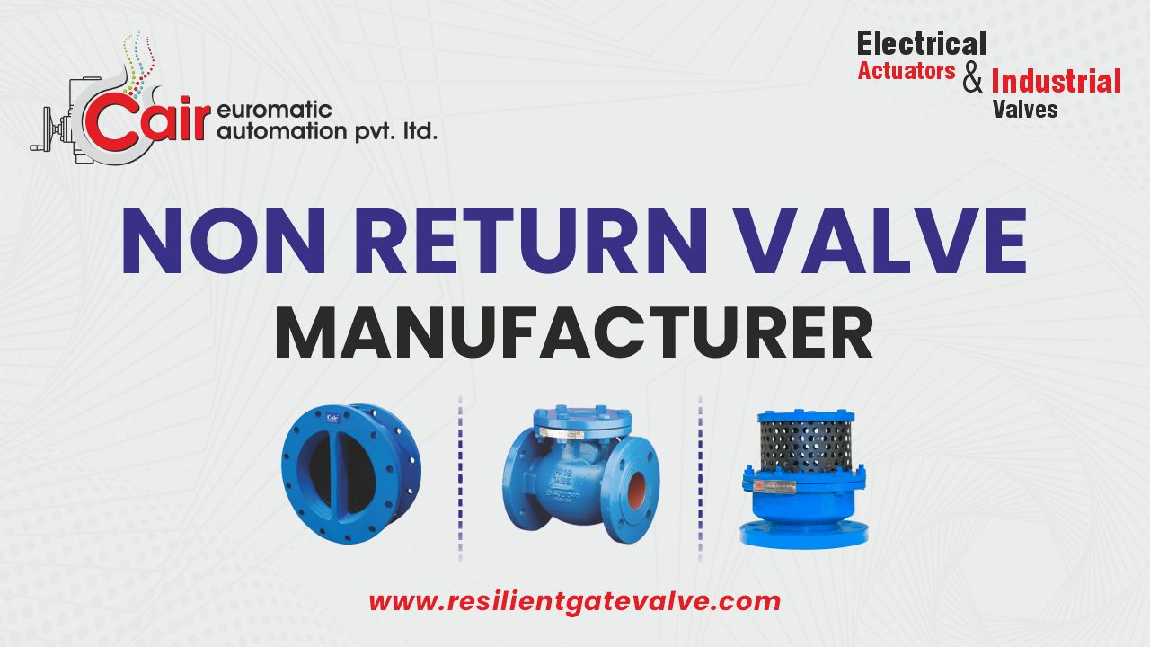 Non Return Valve Manufacturer in Gujarat for Industrial Applications