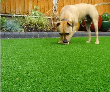 How Pet Turf Installation Services Protect Your Natural Grass Year Round