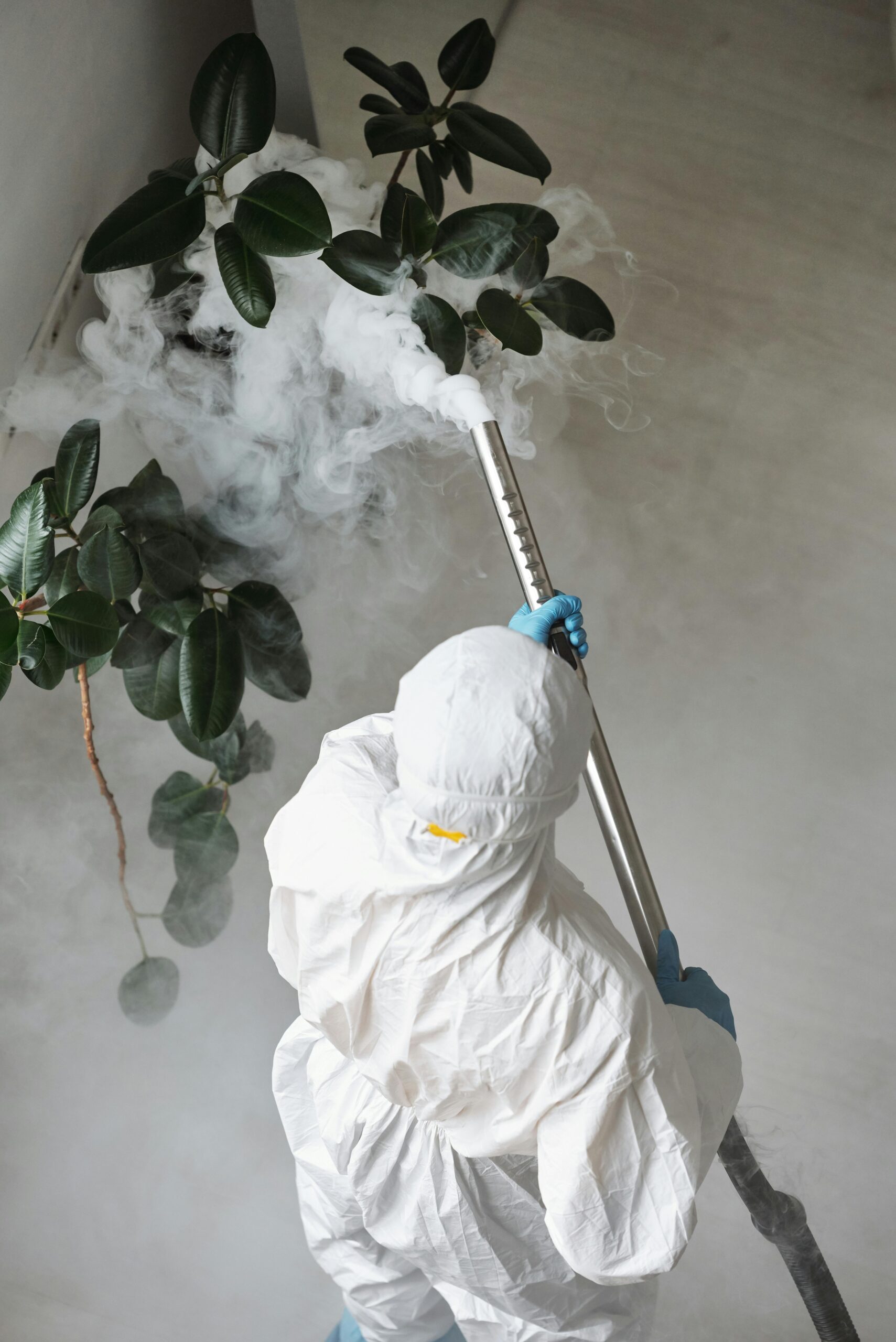 How Weather Changes Affect Pest Activity