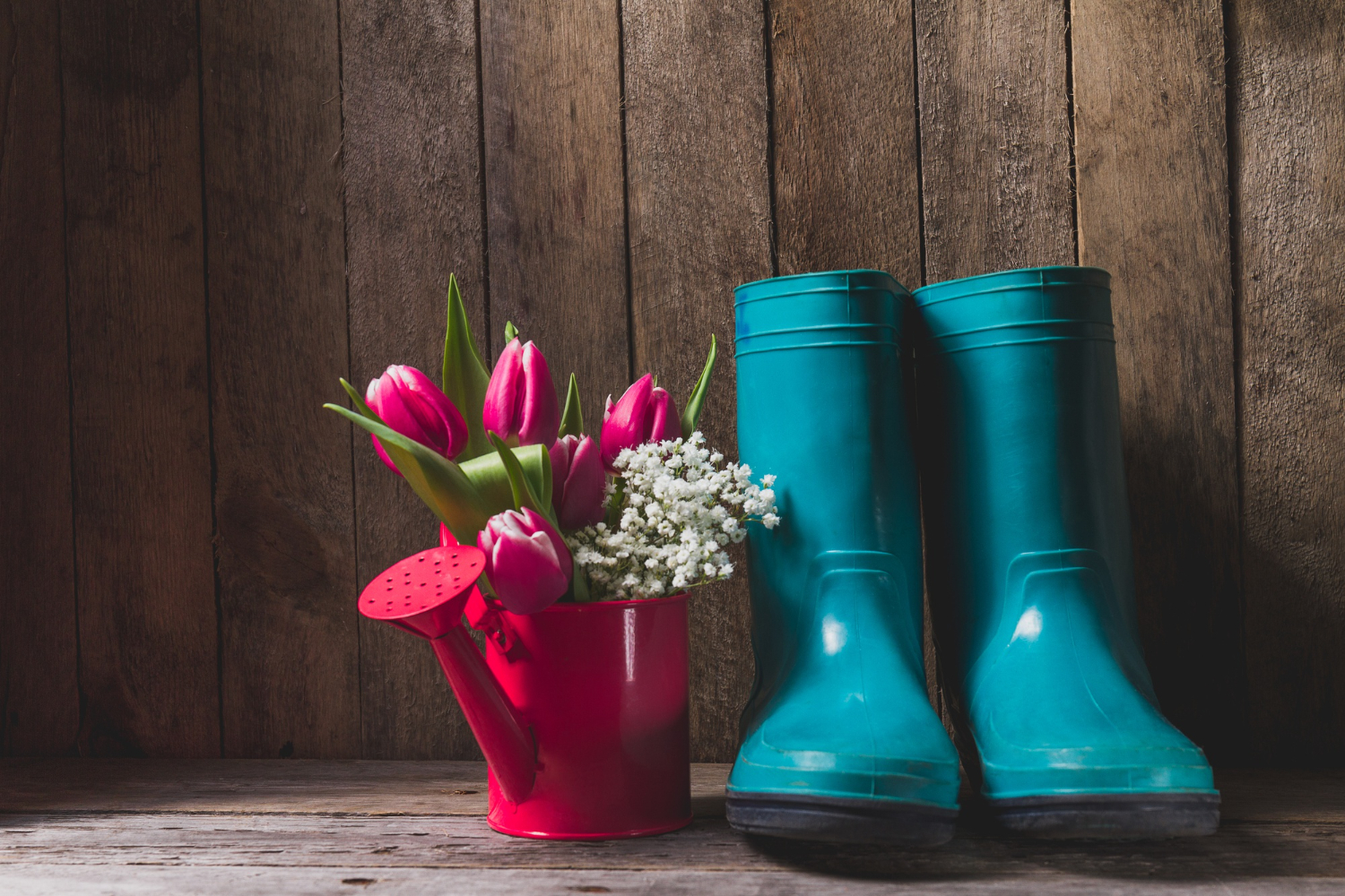 Automatic Boot Washer Uses in Agriculture and Food Industries