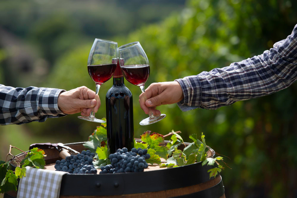 Direct from the Source: Why Your Wine Supplier Manila Values Vineyard Partnerships