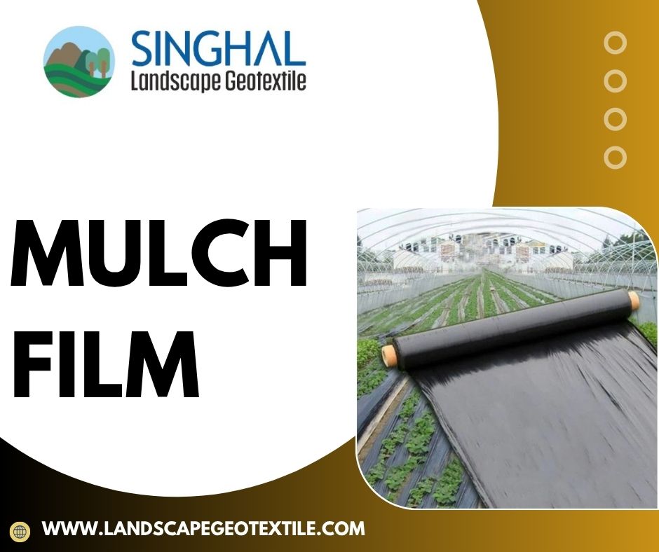 Mulch Film in Farming: Improving Crop Yield and Soil Health