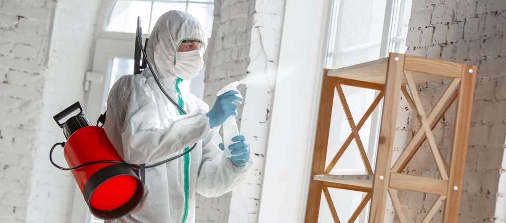 What Are the Most Effective Abbotsford Commercial Pest Control Services?