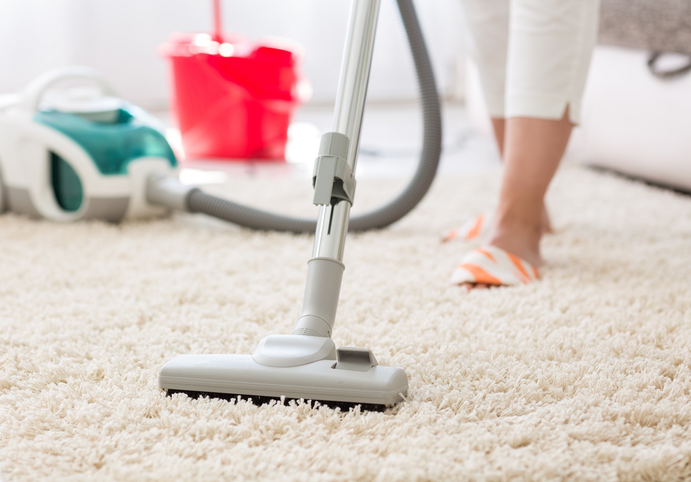 What Stains Can Steam Carpet Cleaning Services Handle?