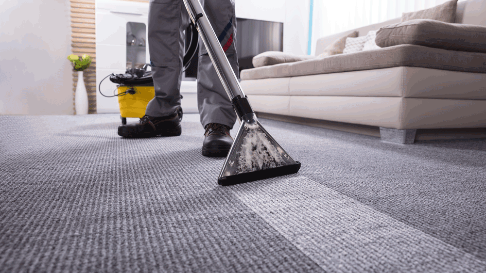 Affordable Best Carpet Cleaning Services?