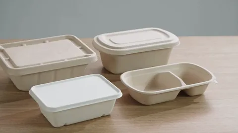 Molded Fiber Food Containers for Restaurants and Cafes