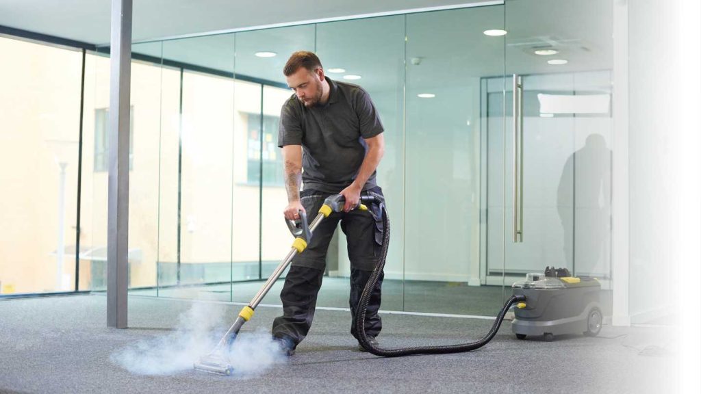 Carpet Stain Removal Services Expert Guide Hire Now