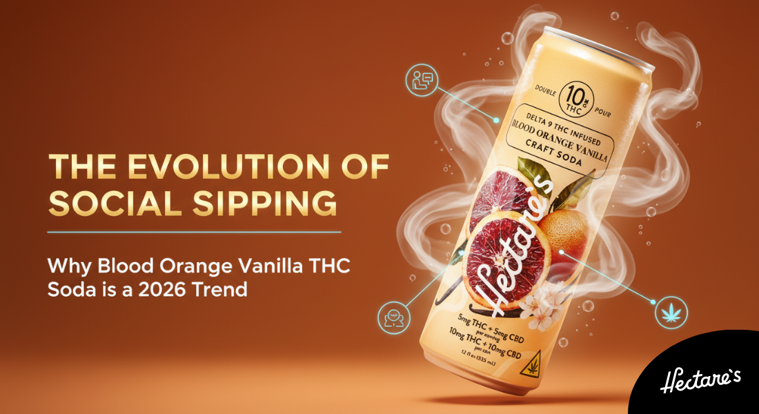 thc soda