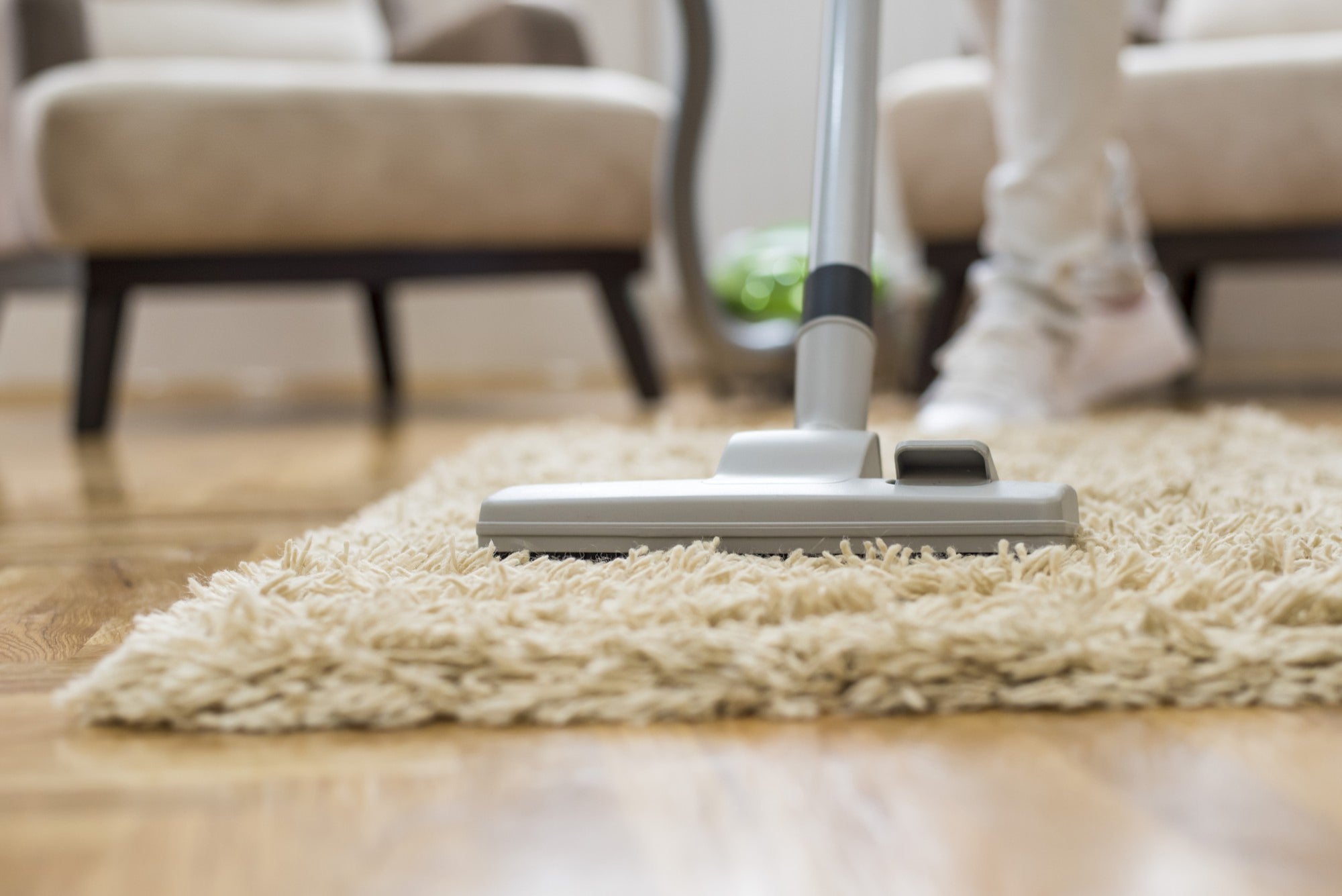 Local Carpet Stain Removal Services Experts