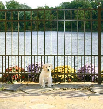 Why Timber Fencing Remains a Popular Choice for Homeowners