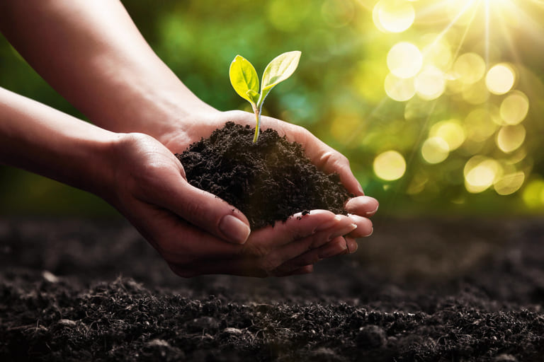How Eco Advocacy Shapes Sustainable Policies?
