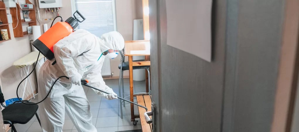 What Are the Benefits of Hiring Experts for Commercial Pest Control in Abbotsford?