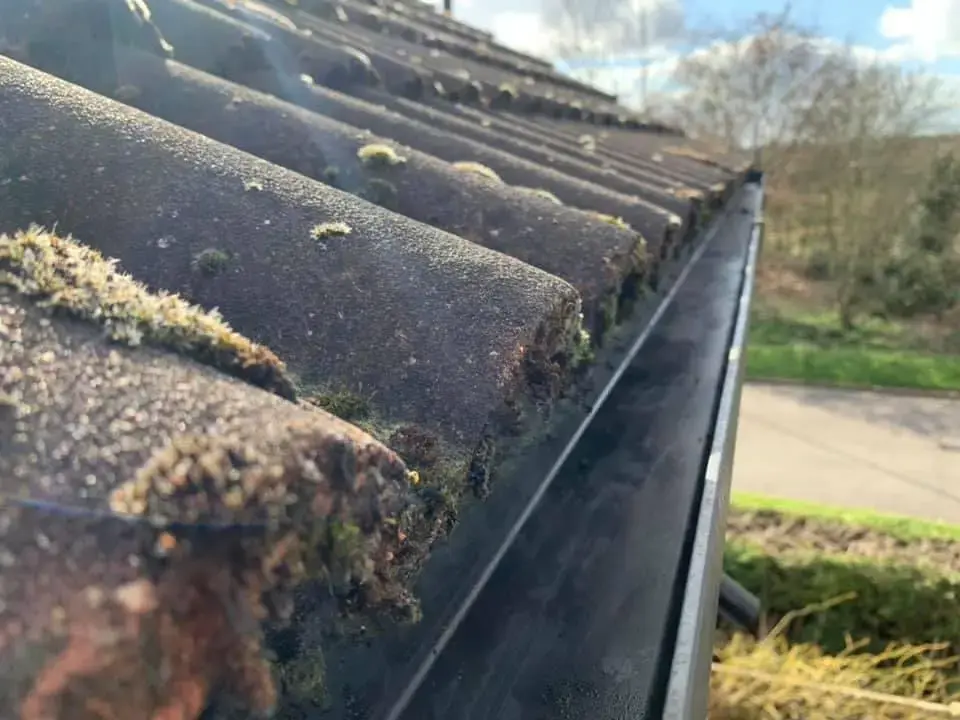 Roof and Gutter Cleaning: Prevent Leaks Before They Start