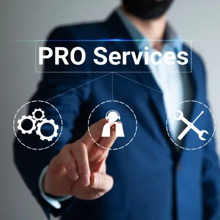pro services in uae​, corporate pro service