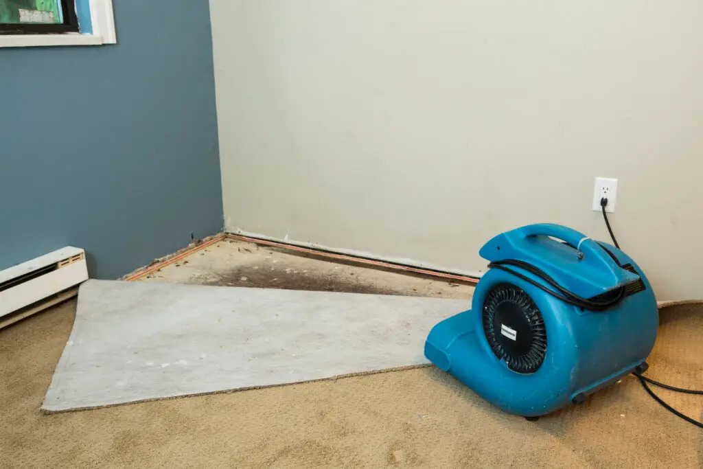 Protect Your Property Through Expert Water Damage Restoration