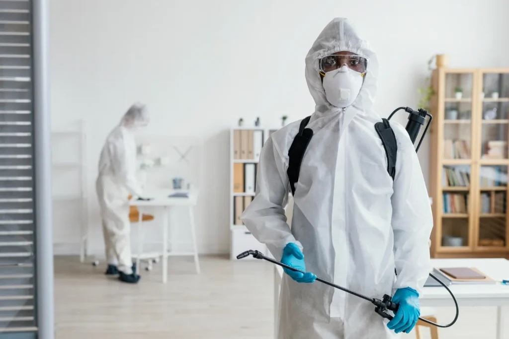 How Does Pest Control in Abbotsford Help Prevent Future Infestations?
