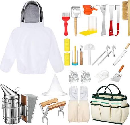 Equipment Choices For Beginner Beekeepers: The Complete Starter Guide