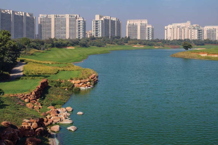 10 Unwritten Rules of DLF The Camellias