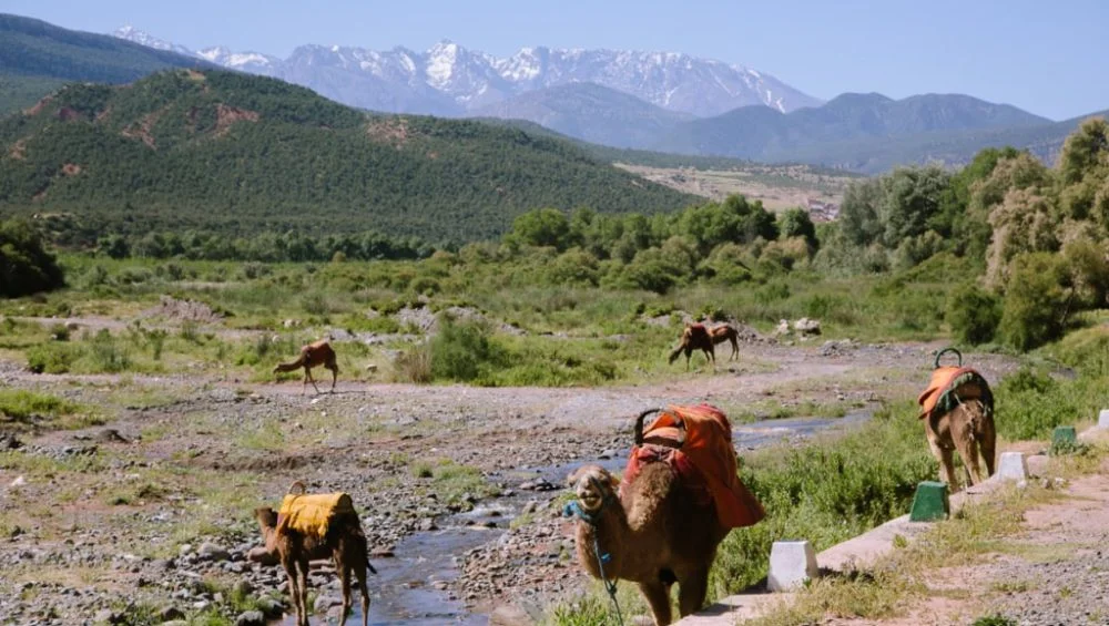 The Best Interactive Atlas Mountains Map Resources for Travelers
