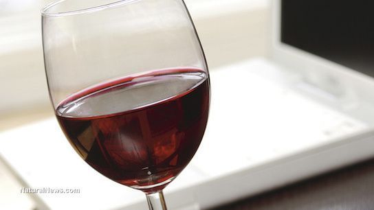Sulfite Free Wine for Beginners: Tips, Taste, and Selection