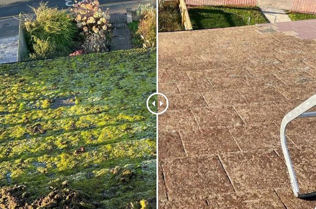 Why Did My Roof Moss Come Back So Fast?5 Reasons Cheap Cleans Don’t Last