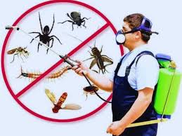 pest control services in Lahore