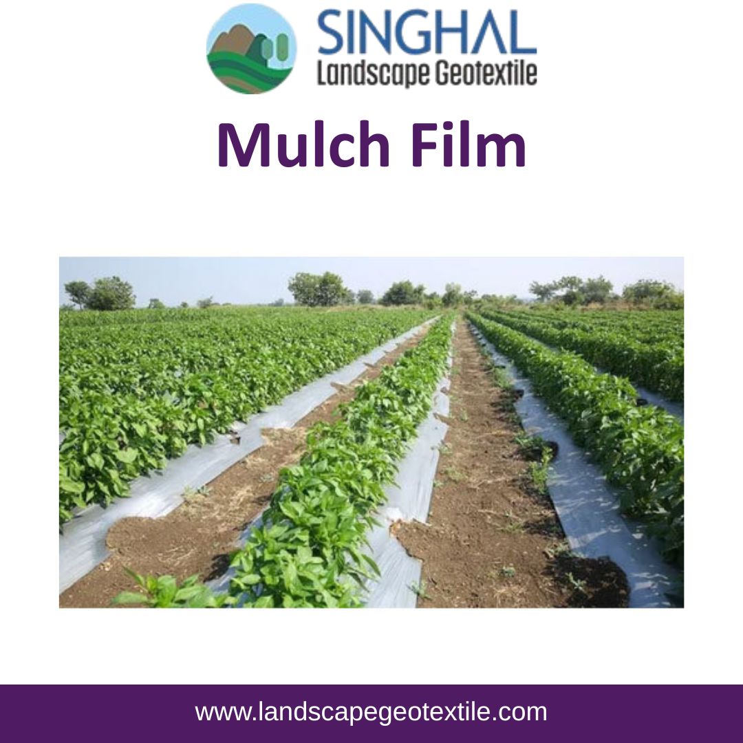 Mulch Film