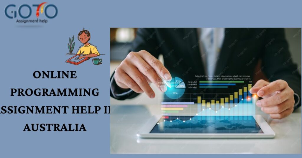 online programming assignment help