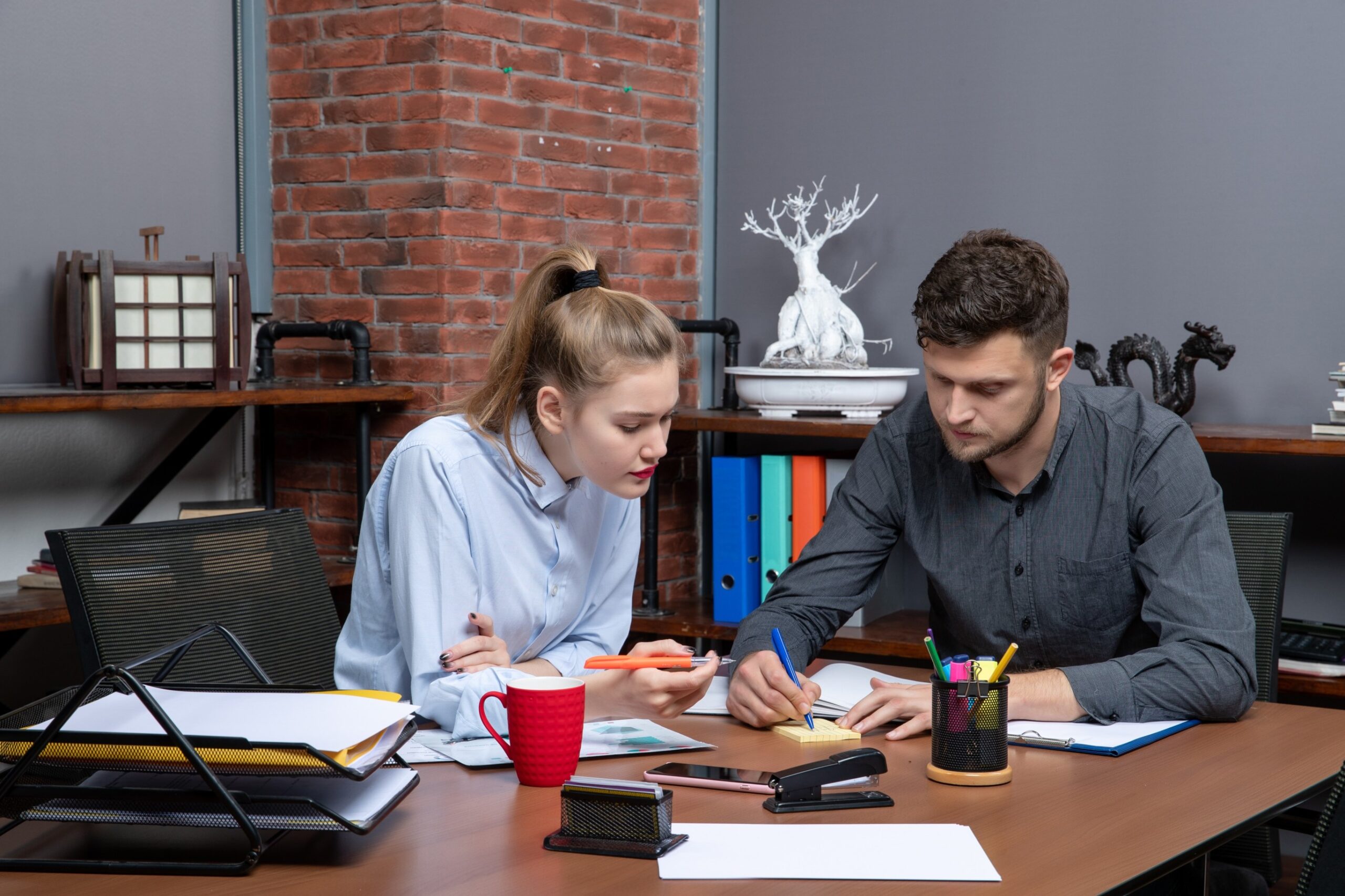 Assignment Guide: Research, Writing, Referencing, and Proofreading