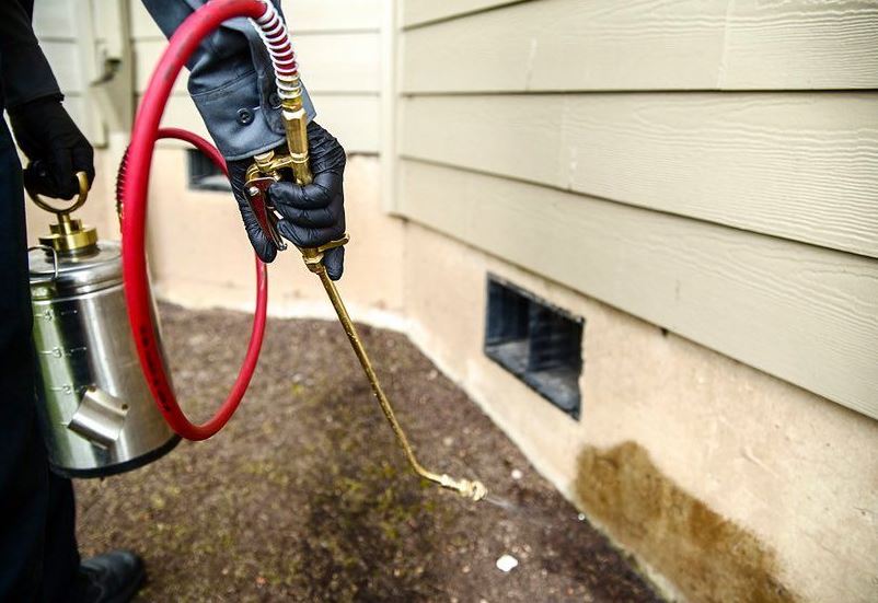 Termite Spray