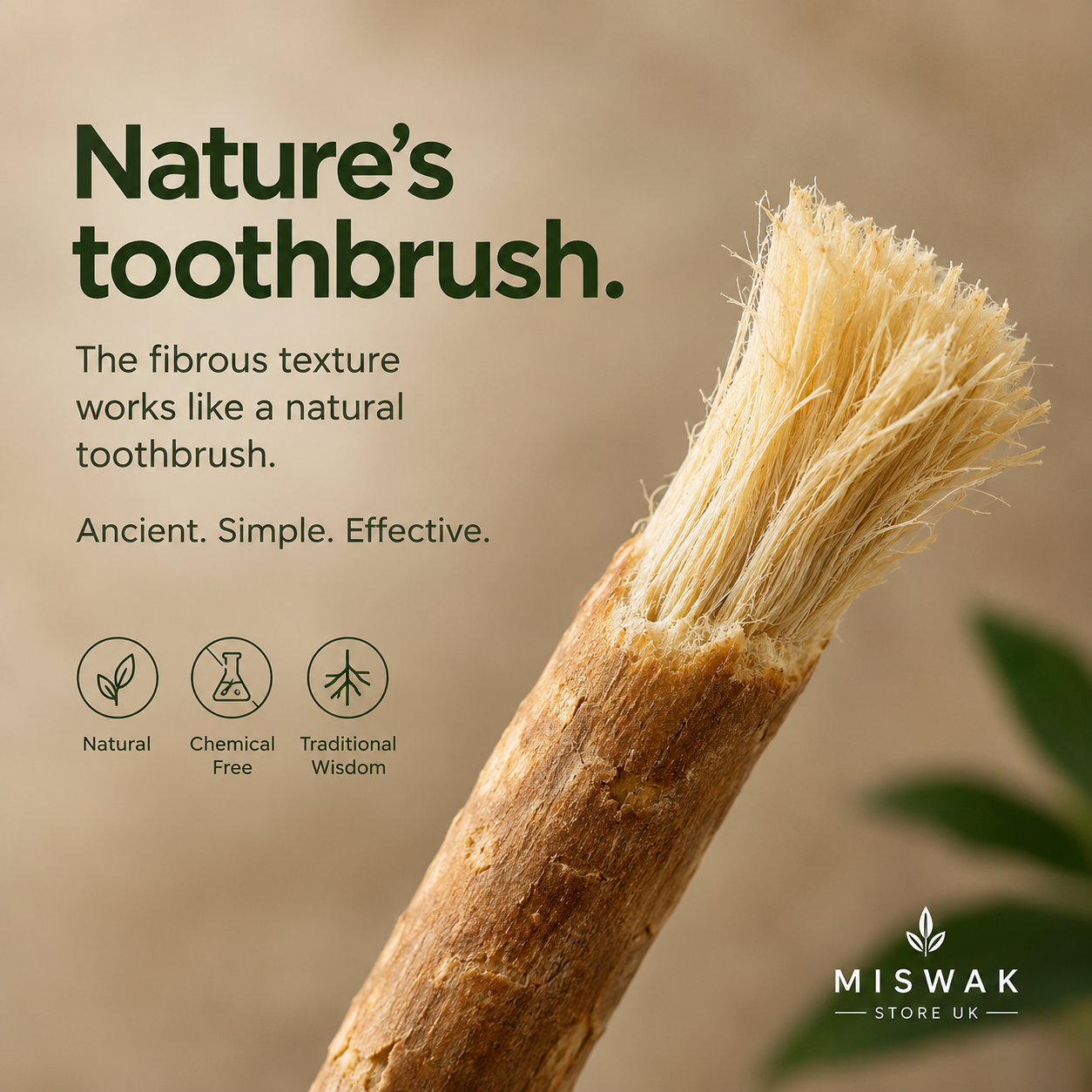 Nature’s Natural Toothbrush Miswak Sticks UK