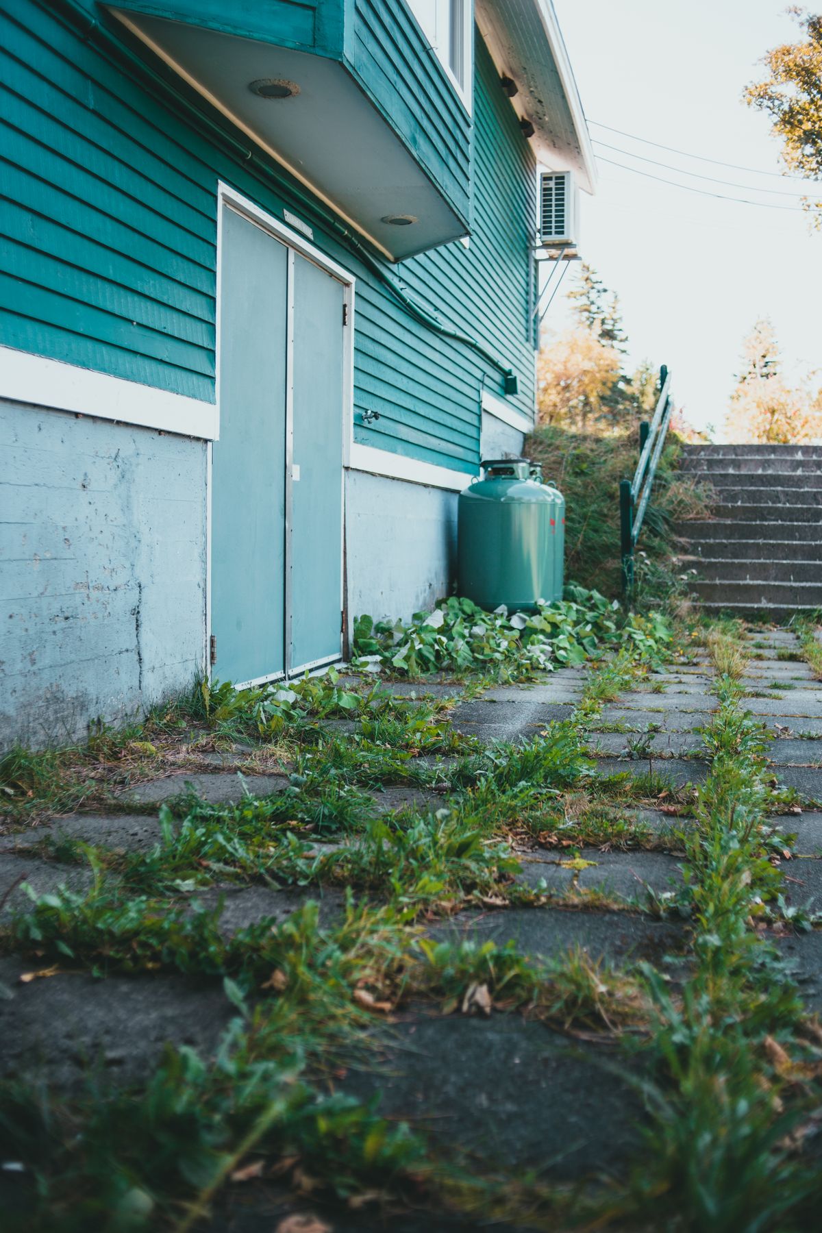 Siding repair or replacement: house with blue-green siding and plants growing close to the wall