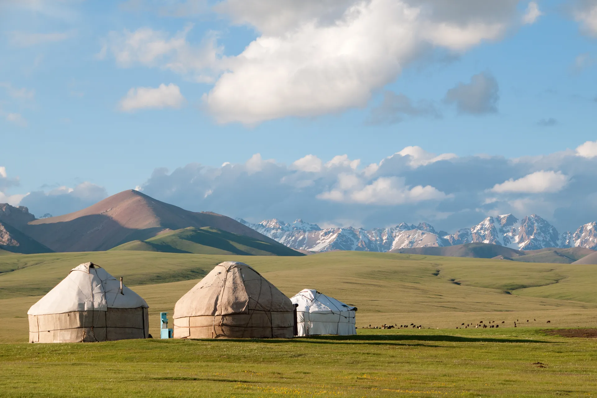 Mongolei Rundreisen